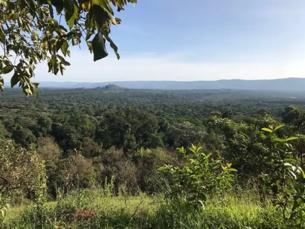 غابة كاكاميغا، كينيا من أقدم الغابات في العالم Oldest-forests_12588_1_1628169151